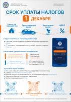 Срок уплаты налогов
