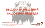 Приём заявлений на добычу бурого медведя